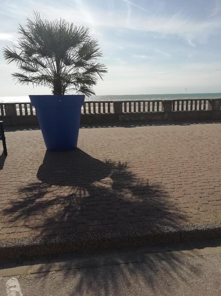 T3 Rez-De-Chaussee Lumineux Avec Terrasse Proche Plage Cucq Exterior foto