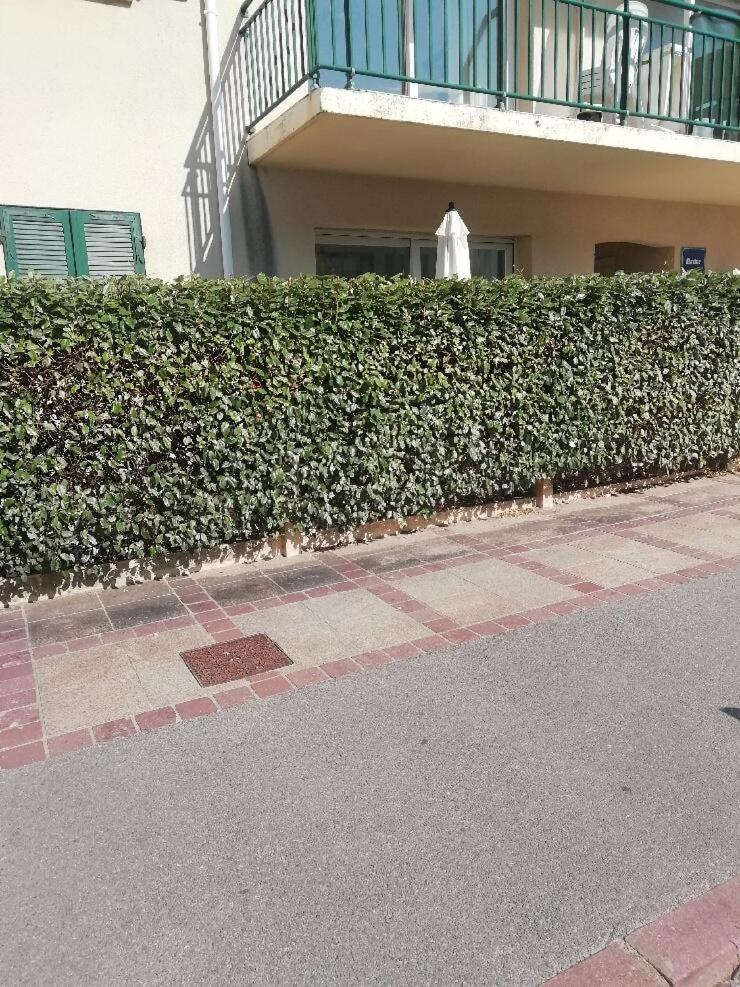 T3 Rez-De-Chaussee Lumineux Avec Terrasse Proche Plage Cucq Exterior foto